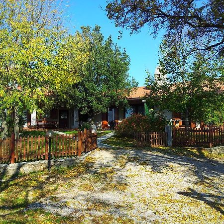 Terra Del Carso Villa San Pelagio Exterior photo